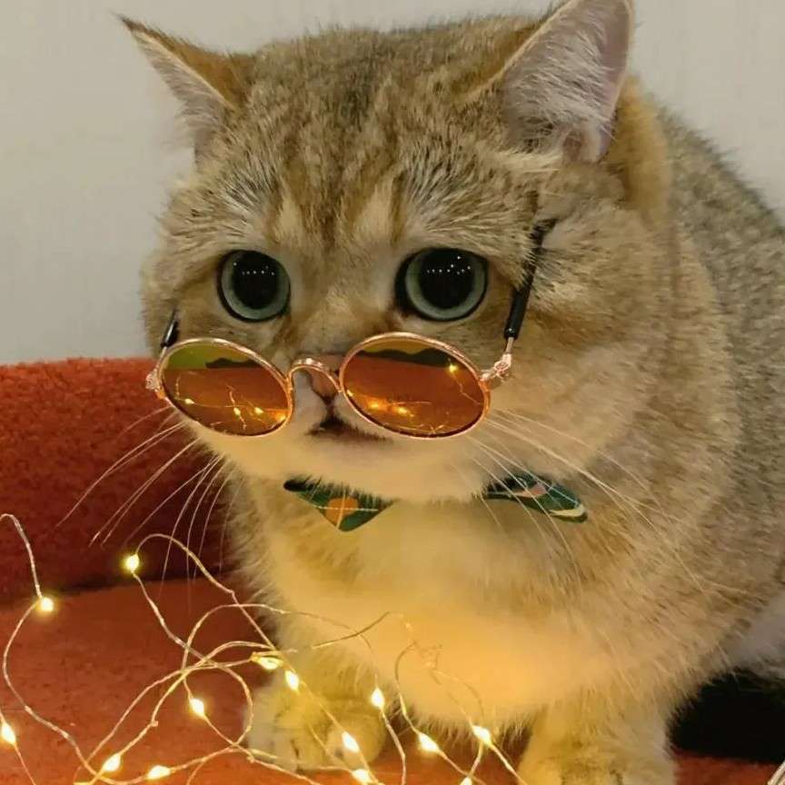 Fairy的人生哲理