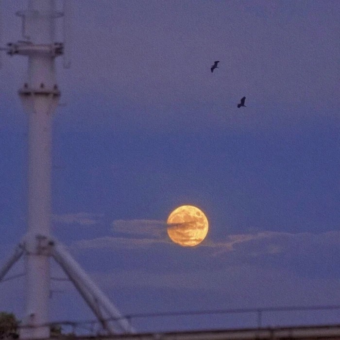 一眼心动的电视剧台词or文案
