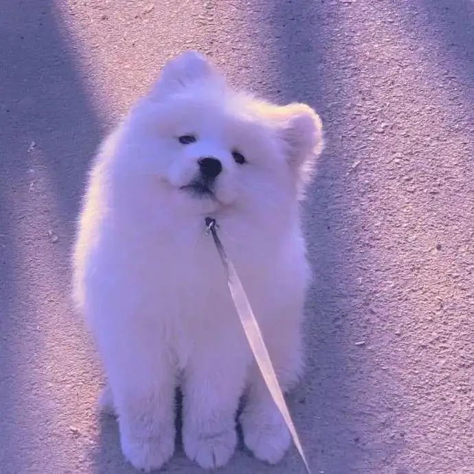 人生就是得取悦自己