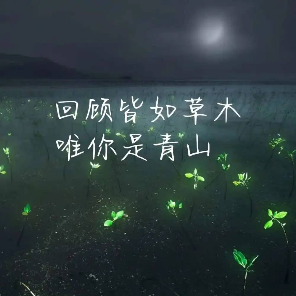 孤独文案