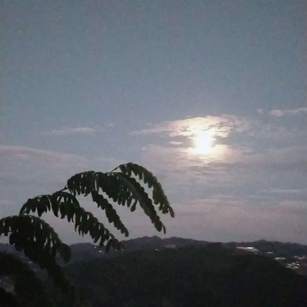 励志文案
