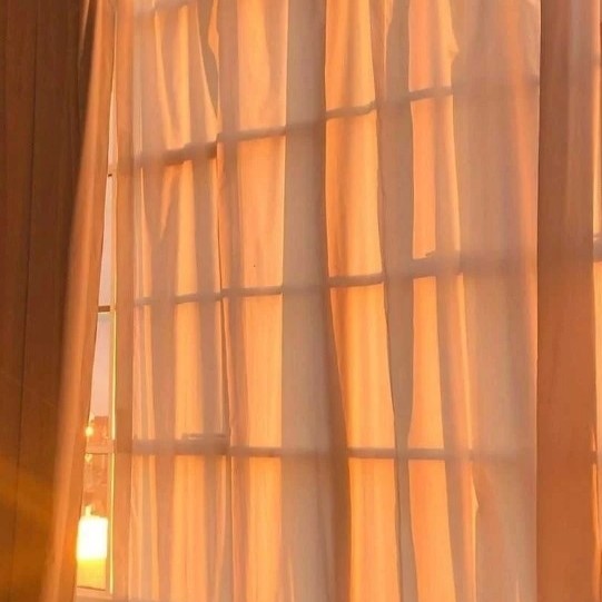 （｡ò ∀ ó｡）