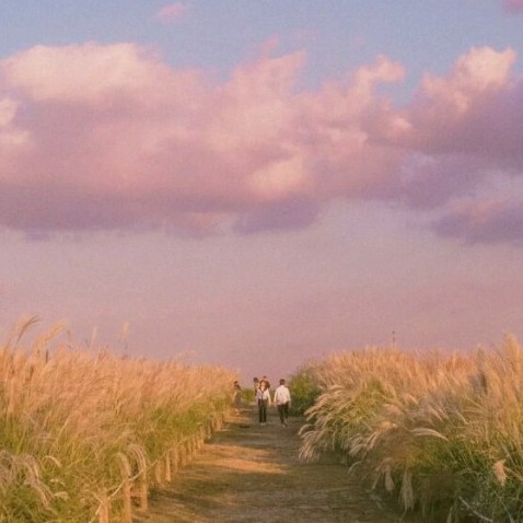 我要这样的专辑