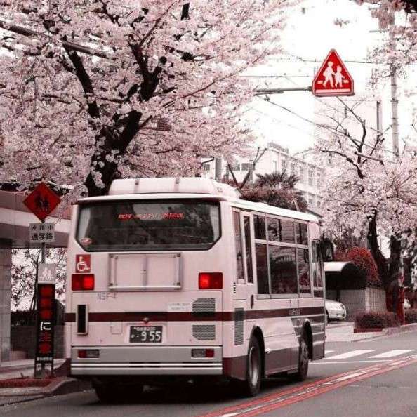 你就是人间的风花雪月