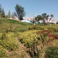 希望你的风景有我的样子，那怕像星星点点也行！