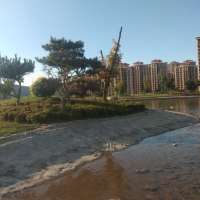 有没有那么一刻，自己记得生日，却不知道别人记不记得