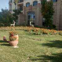 最好的我们，成为了我们。却失去了‘我，们！