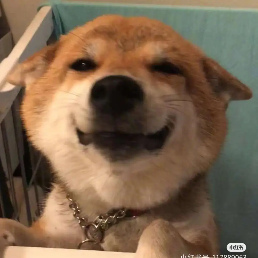 活着