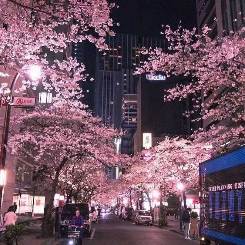 充满少年感的句子