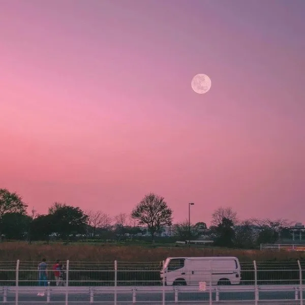 作文素材之家国情怀