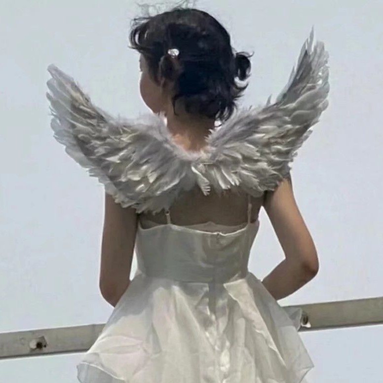 高等数学的专辑