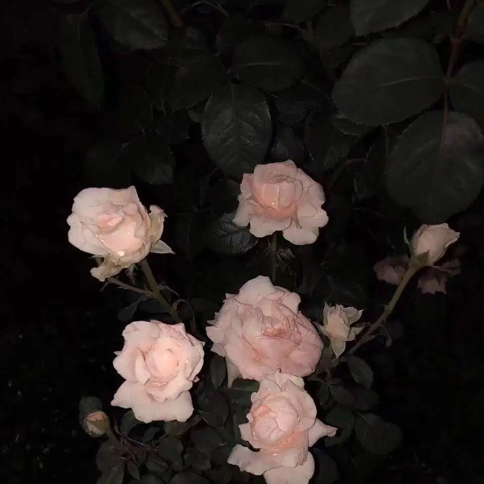 凌晨.