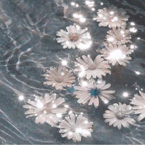 Aurora.💫的专辑