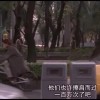 橘子🍊的专辑
