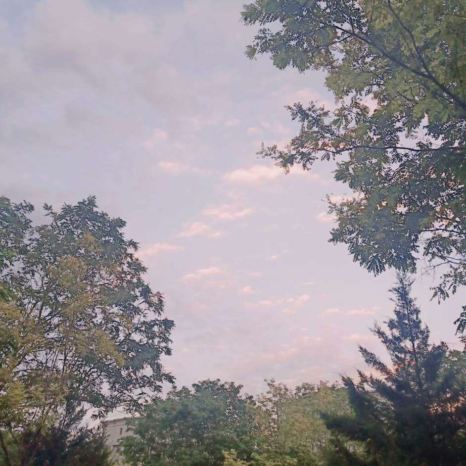 偶尔的有感而发