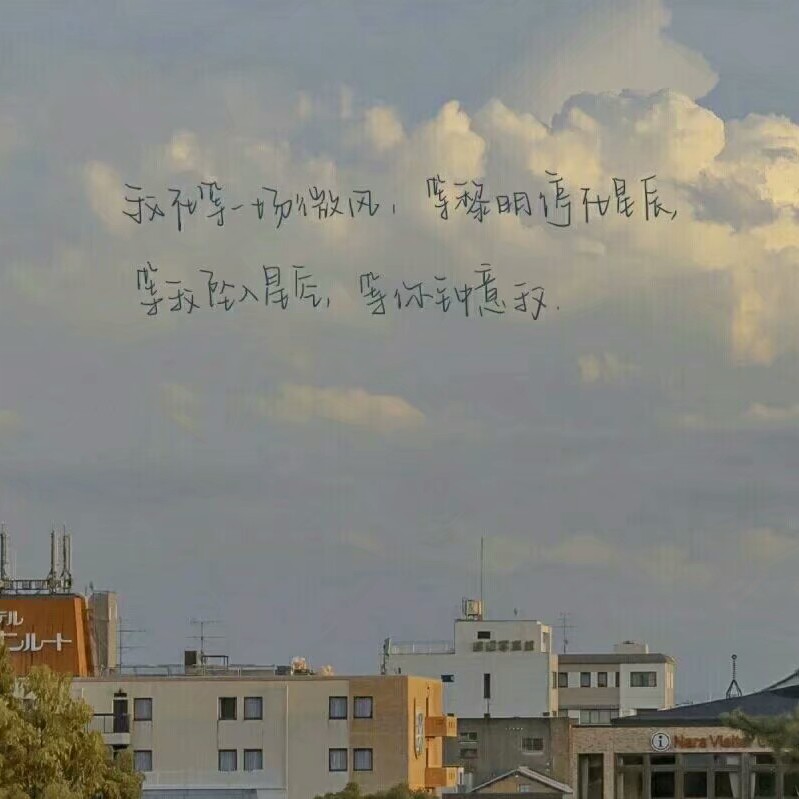 白酒与微风