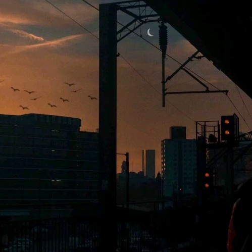 温柔与浪漫永存