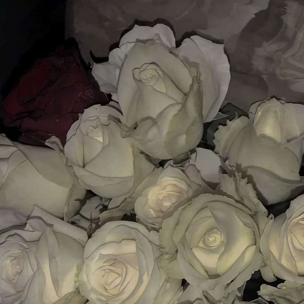 从¹一束花开始