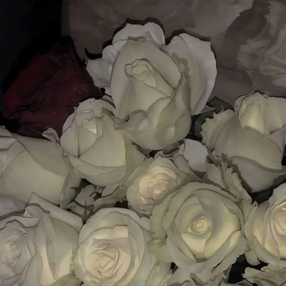 从¹一束花开始