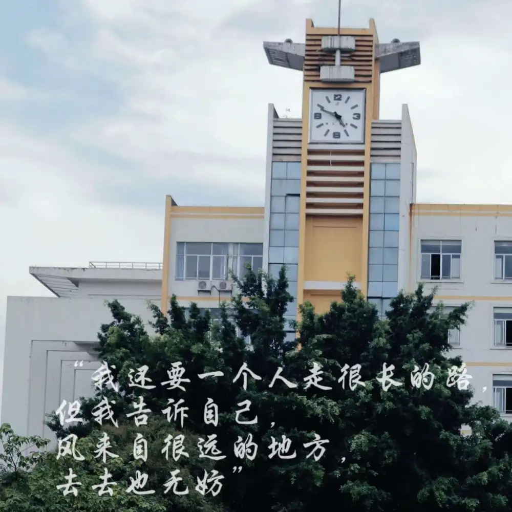 情感