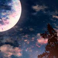 《杀死一只知更鸟》书评