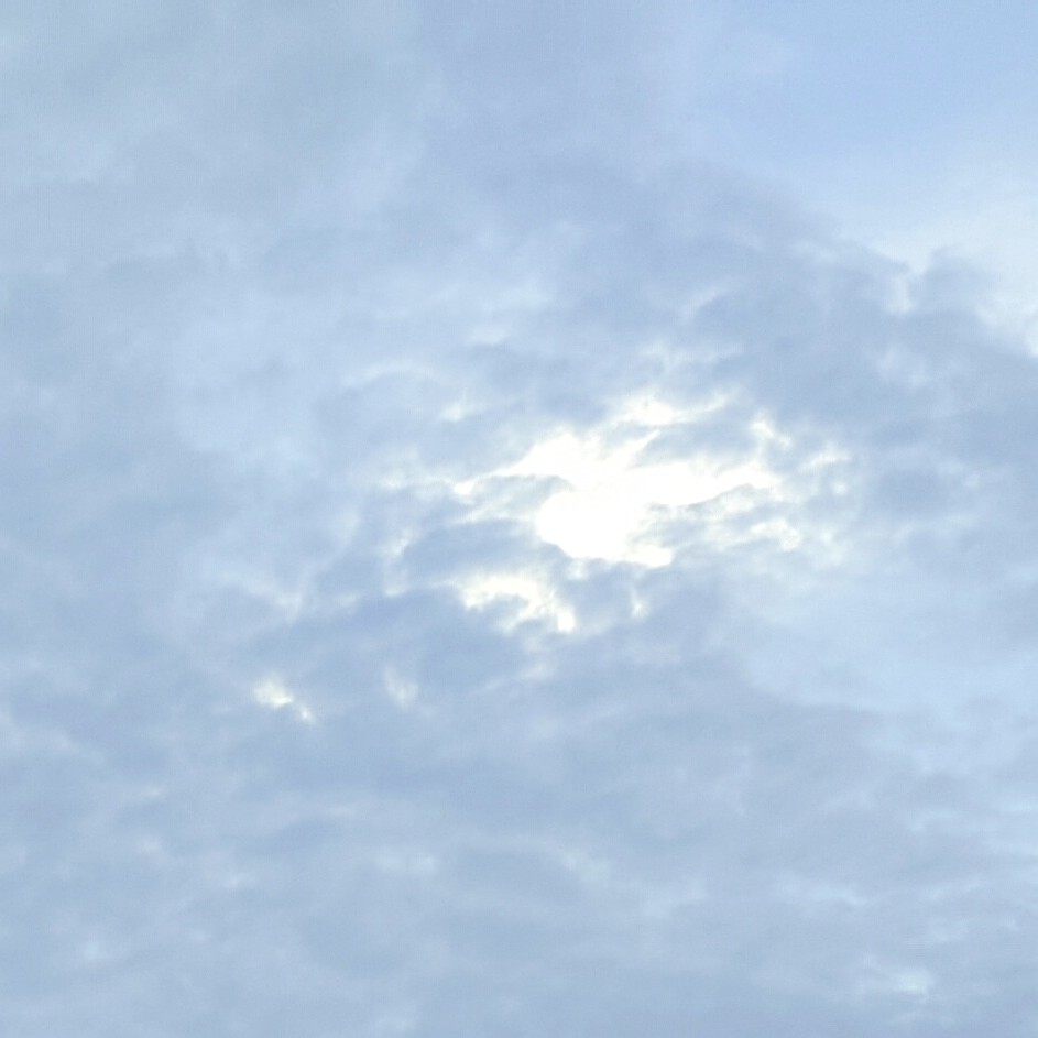 ★･fearless的专辑