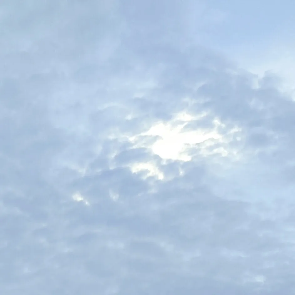 ★･fearless的专辑