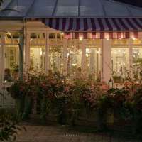 有哪些小说句子惊艳了你