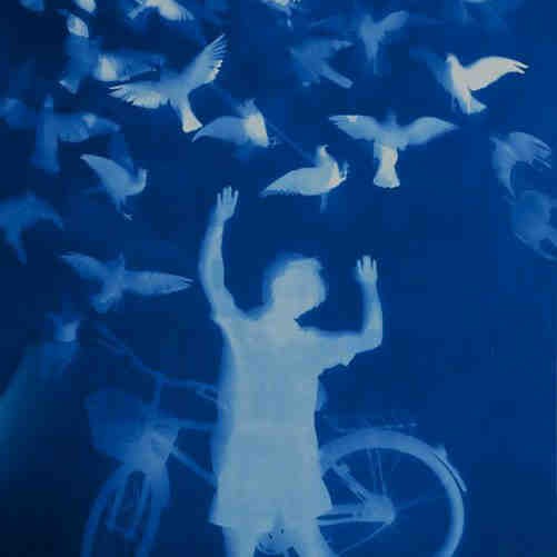 像我这样的风啊的专辑