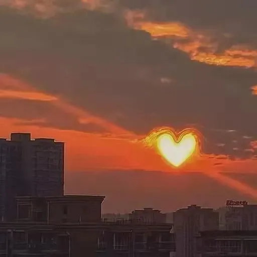 宝藏语录