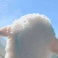 吐出所有的不快乐吧