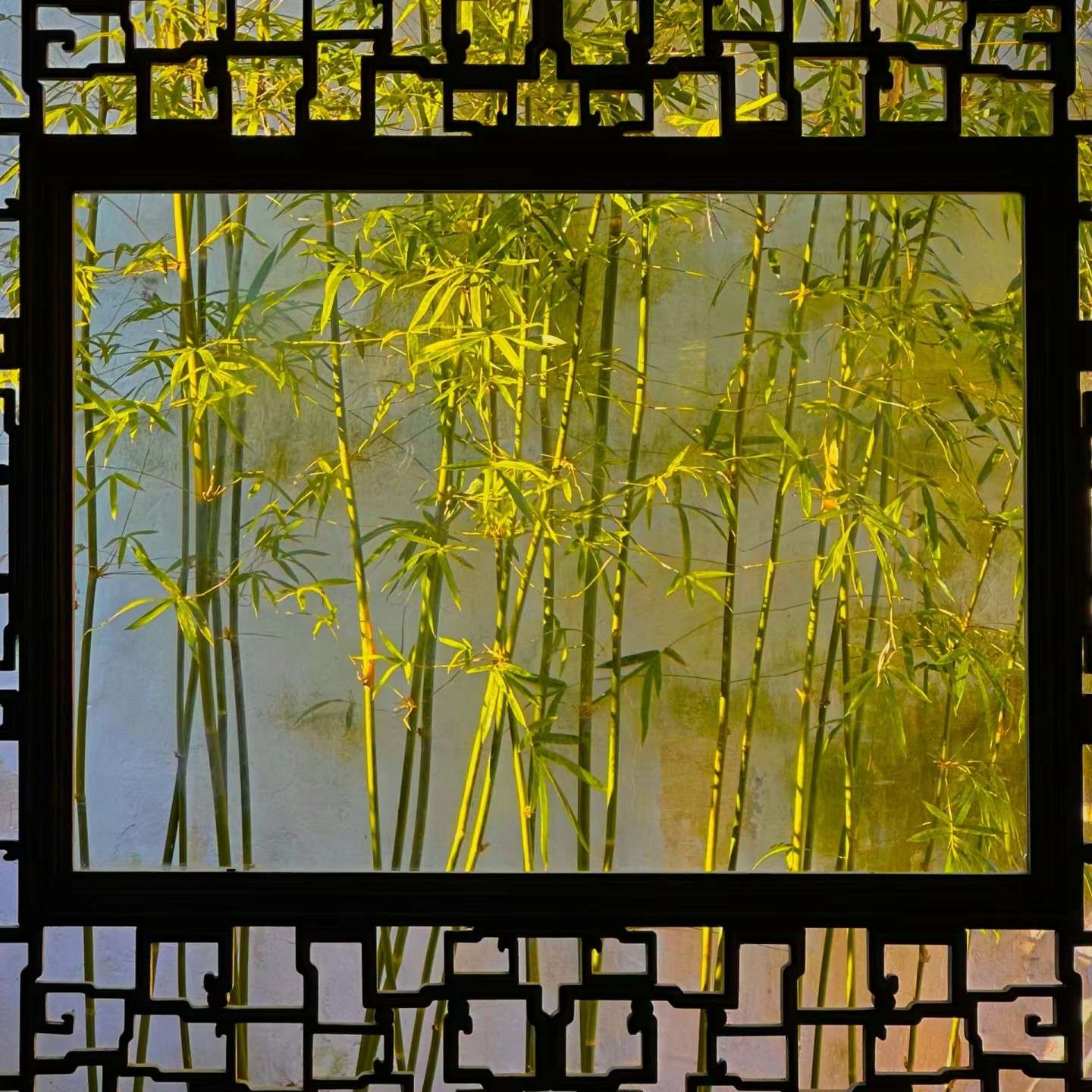 阿七的古诗专辑