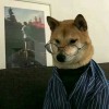 羽的专辑