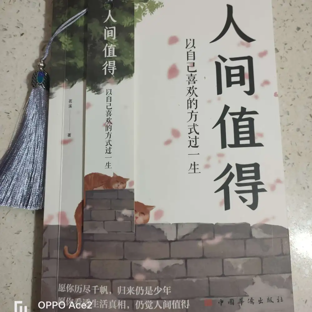 人间值得