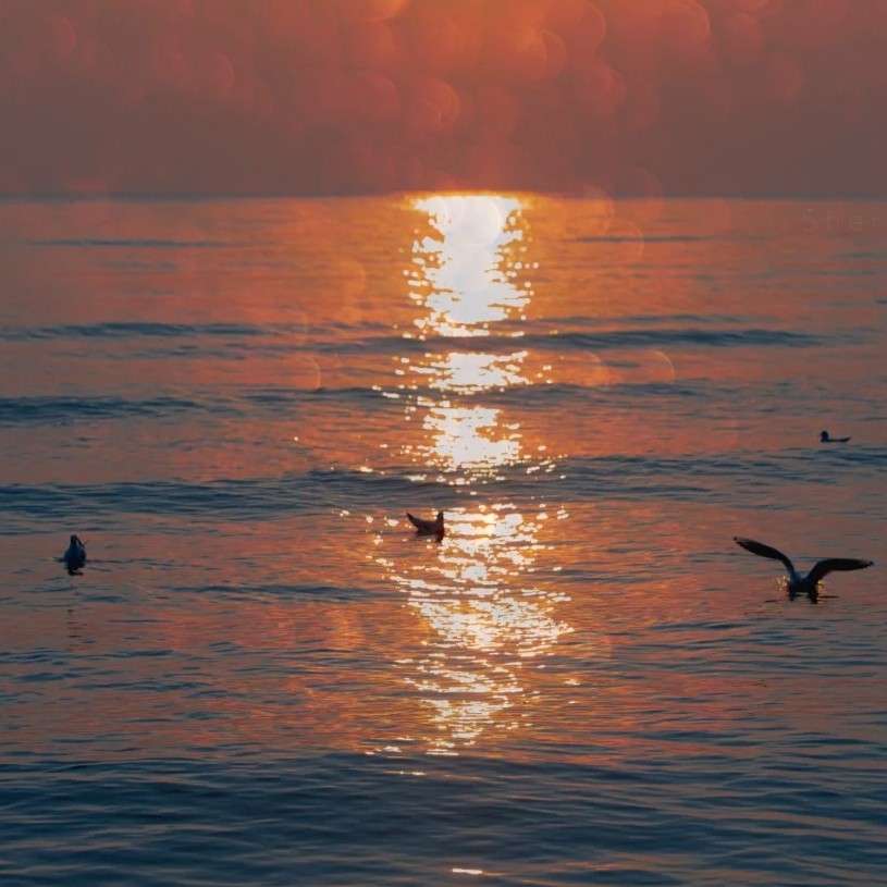 行远自迩，笃行不怠。