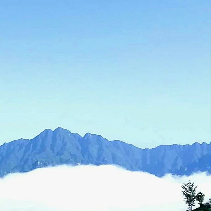 漫随天外云卷云舒