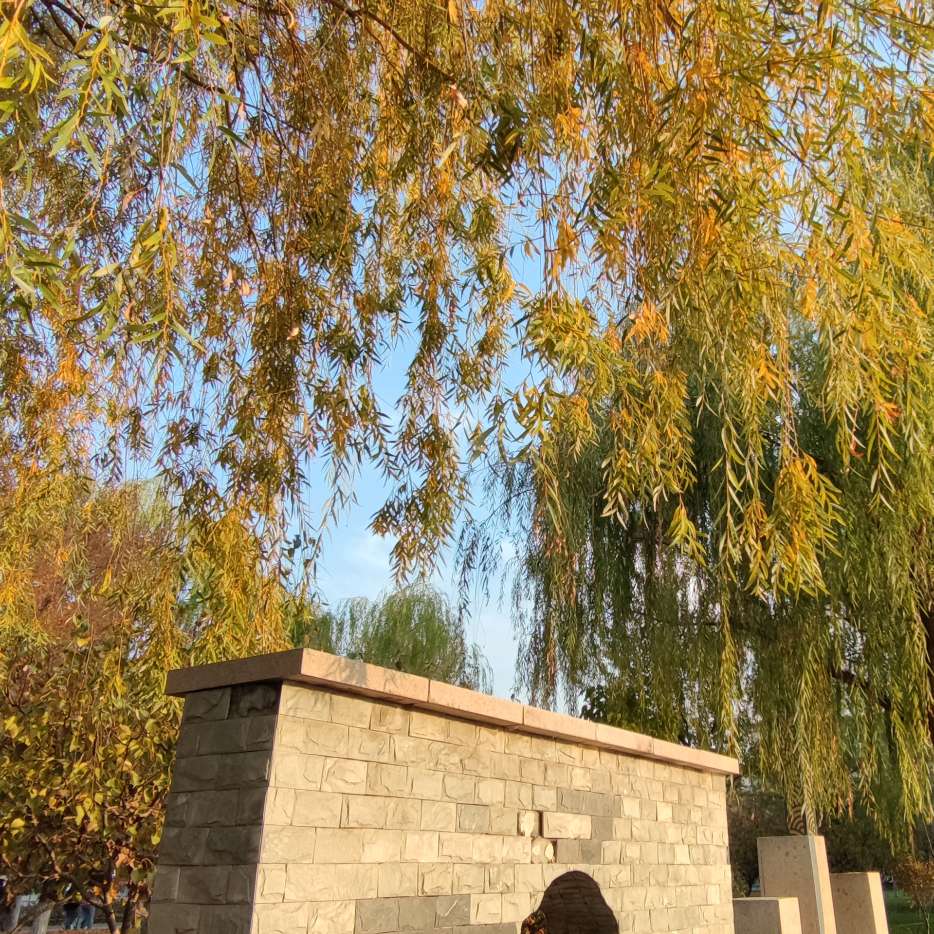 额尔古纳河右岸