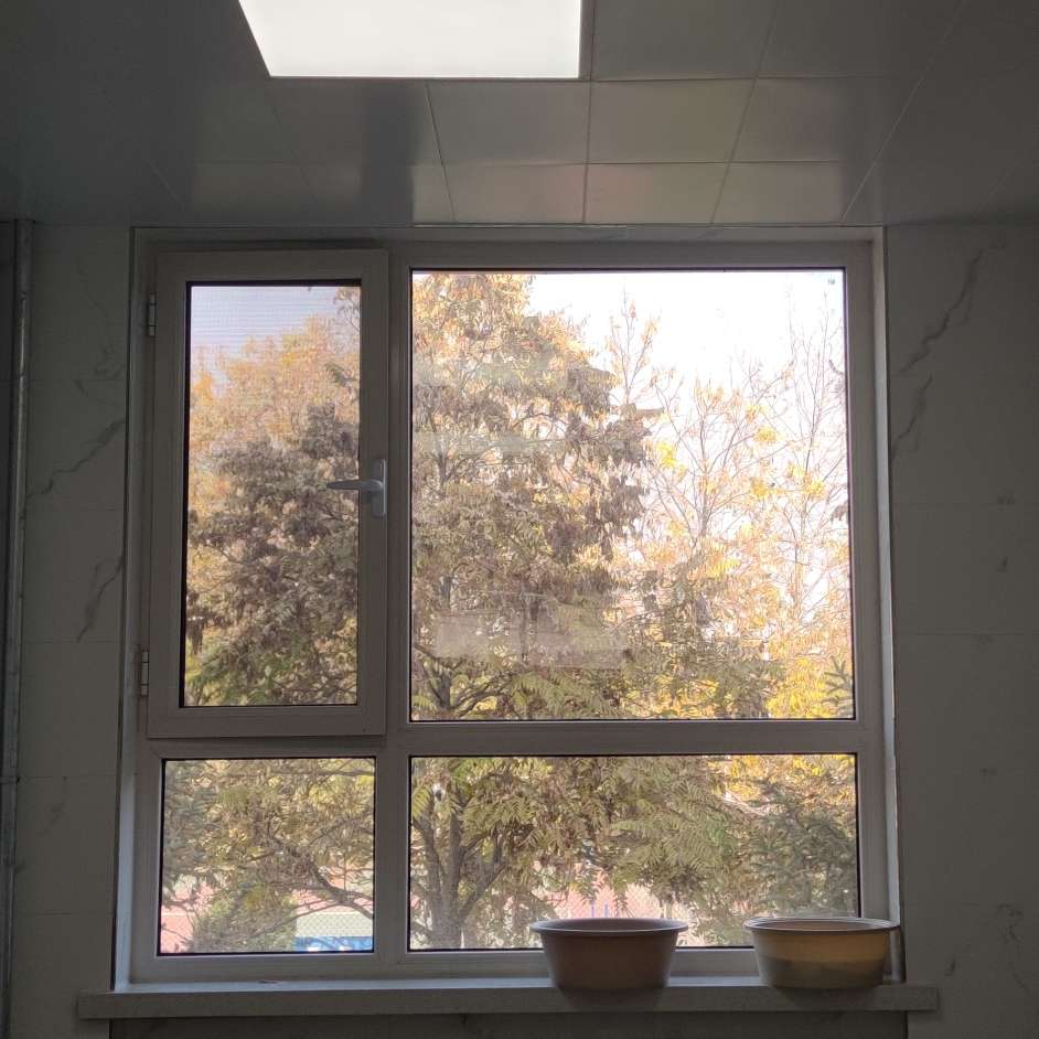 《读者（原创版）》