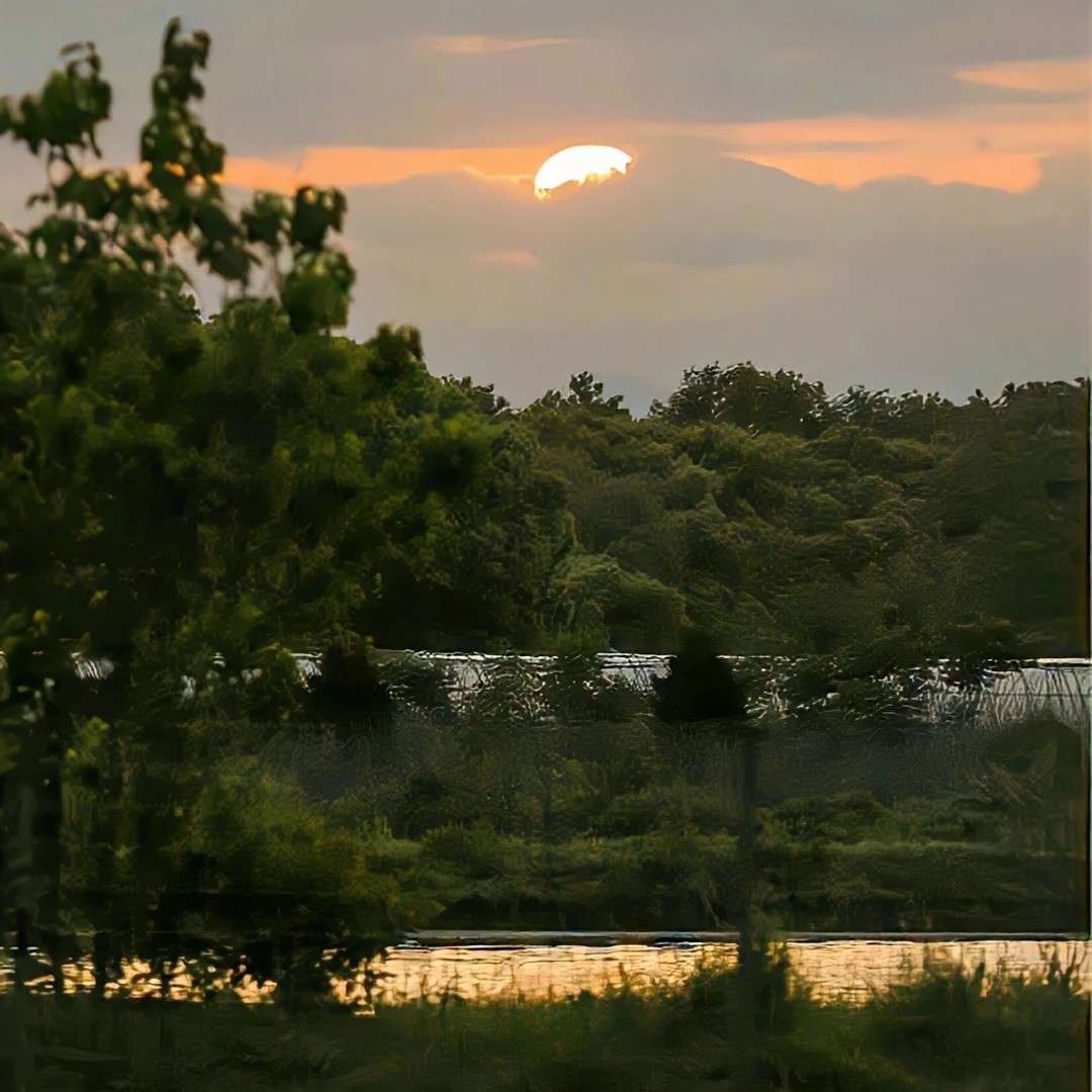 玛卡巴卡的专辑