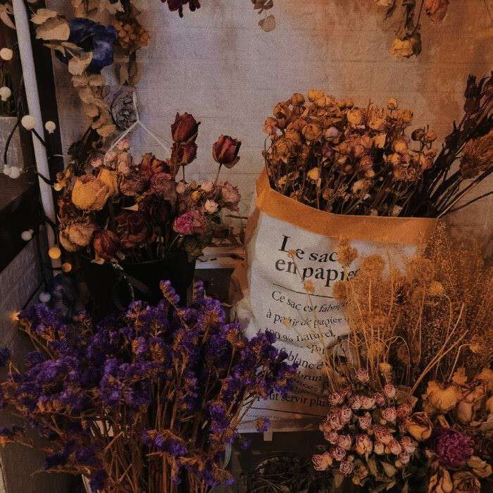 受伤之后，学会温柔