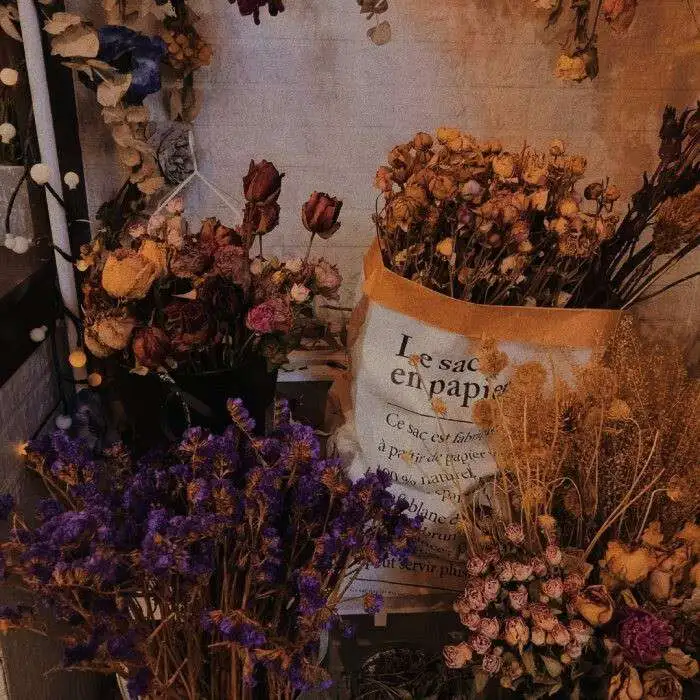 受伤之后，学会温柔