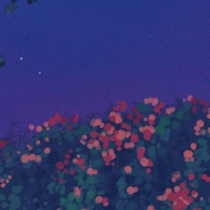 阳康白雪 的专辑