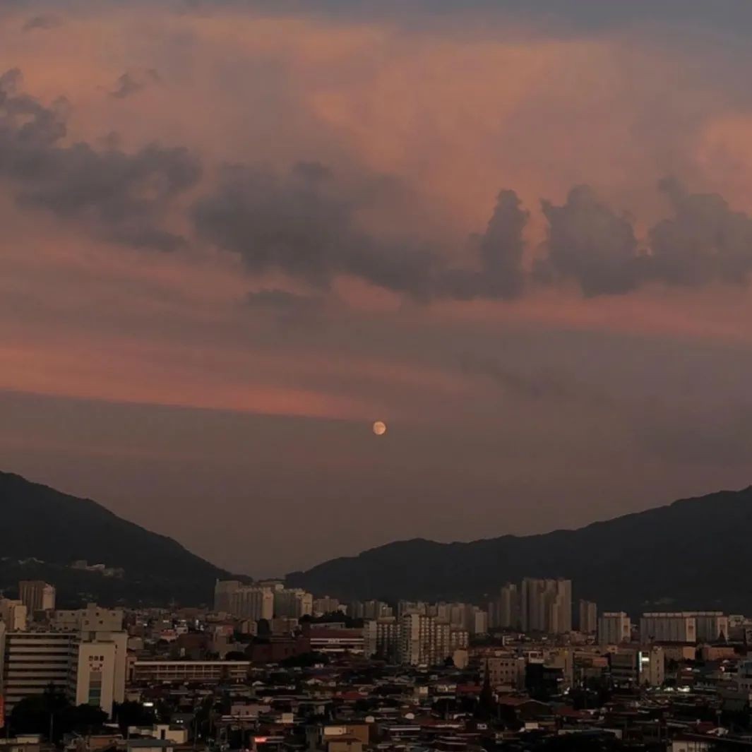 言的秘密私藏～