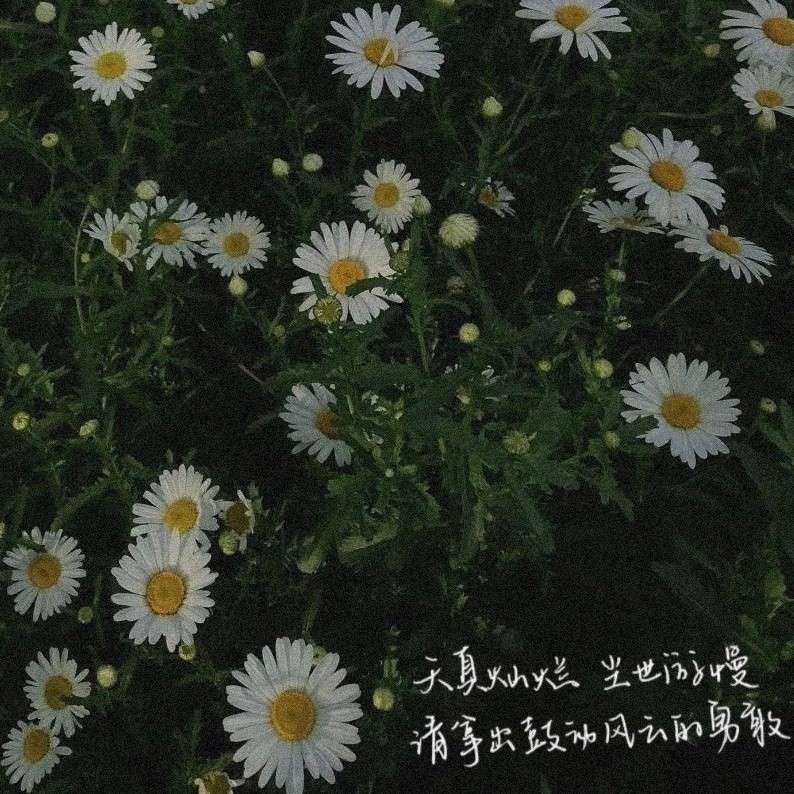 販卖星球-的专辑