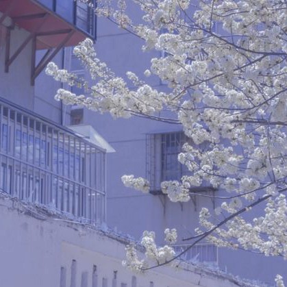 爱似骄阳，热烈，张扬！