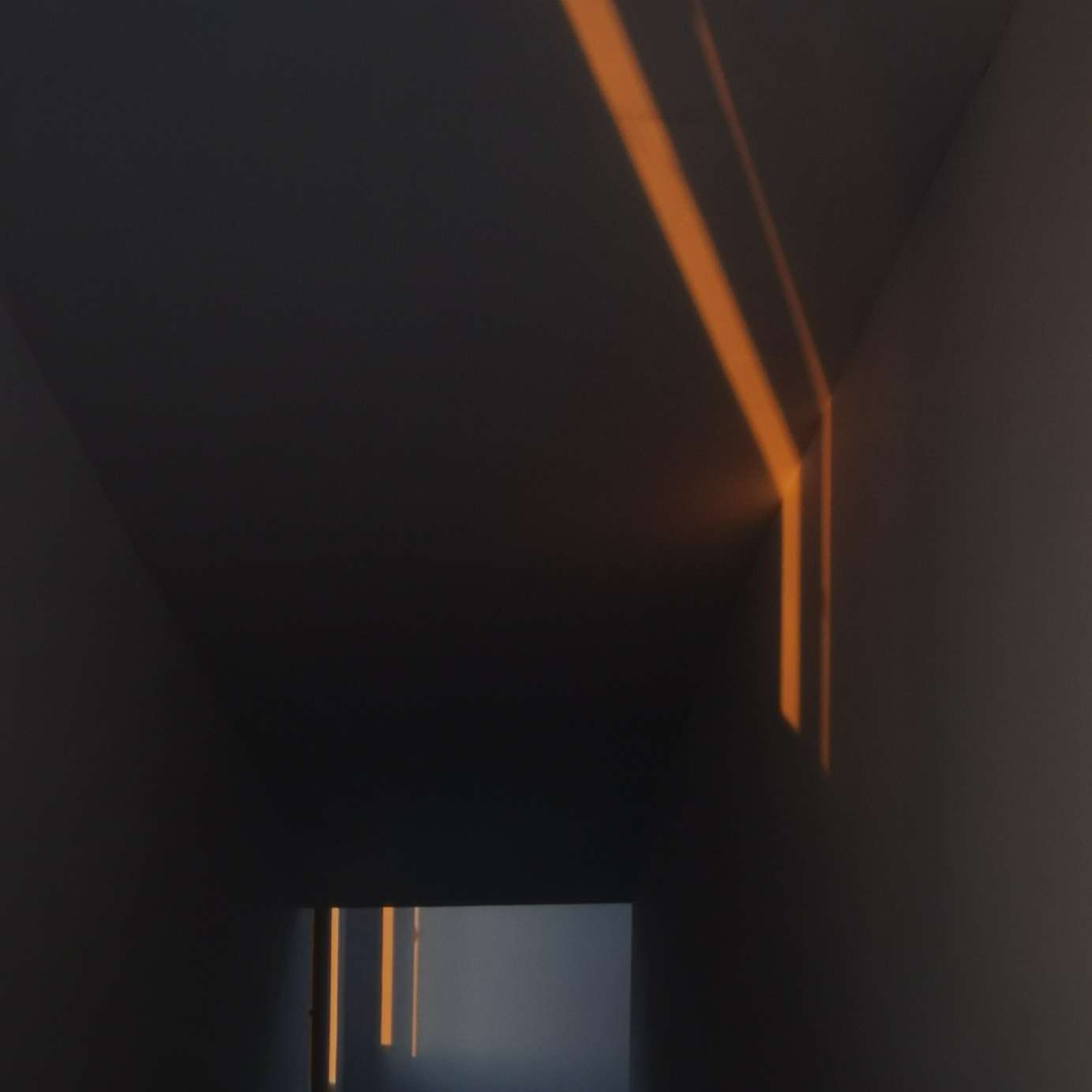 可以写进作文的句子