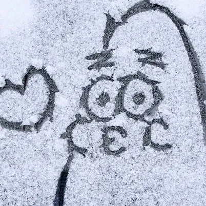 祝新年