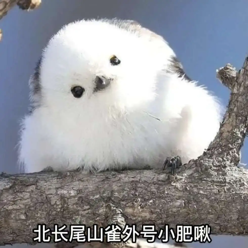 祝前途