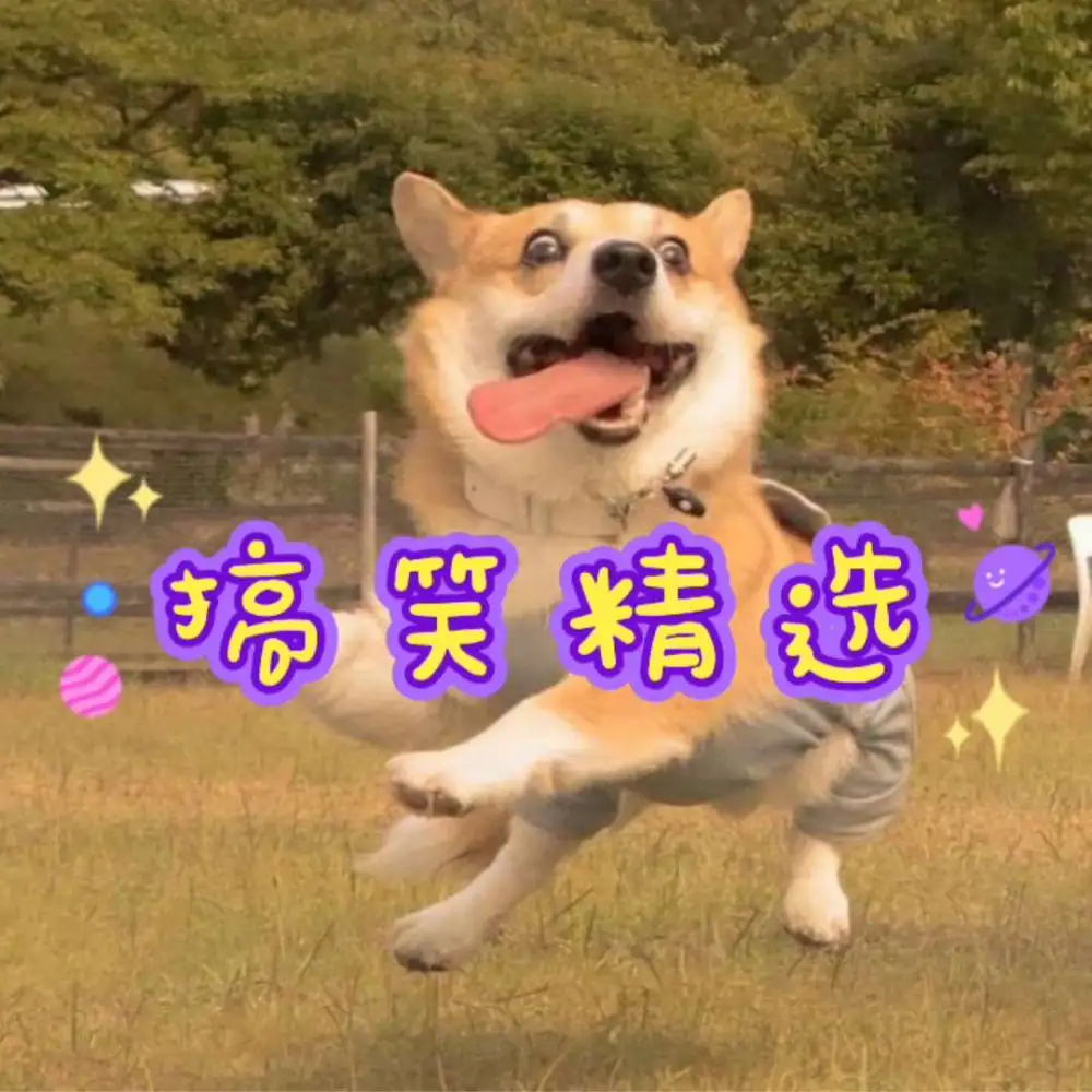 搞笑文案精选