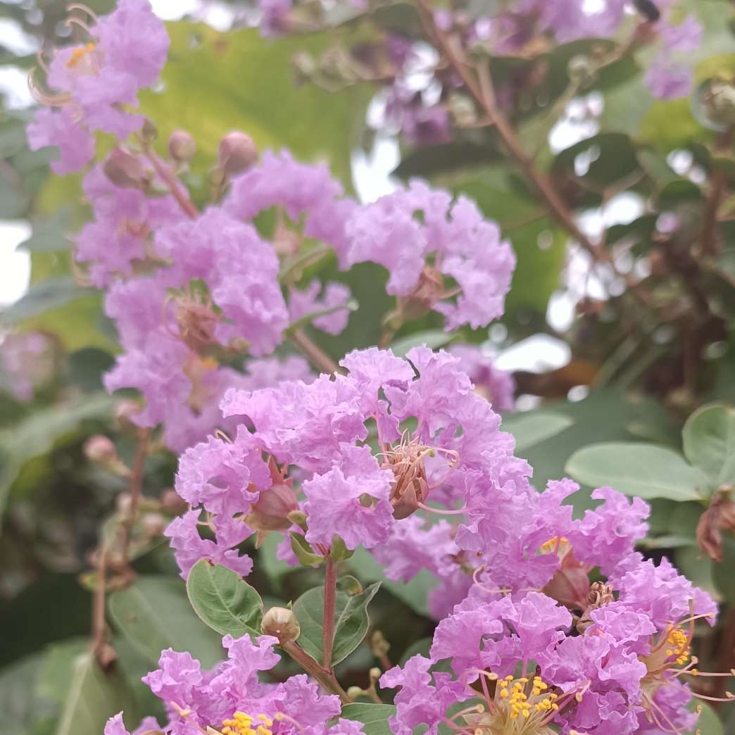 重拾自信的治愈文案